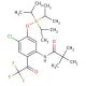 N-[2-Trifluoroacetyl-4-chloro-5-(TIPS-oxy)phenyl]-2,2-dimethylpropanamide - chemical structure image