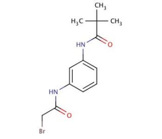 N-{3-[(2-Bromoacetyl)amino]phenyl}-2,2-dimethylpropanamide (CAS 1138442-87-1) - chemical structure image