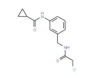 N-(3-{[(2-chloroacetyl)amino]methyl}phenyl)cyclopropanecarboxamide - chemical structure image