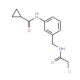 N-(3-{[(2-chloroacetyl)amino]methyl}phenyl)cyclopropanecarboxamide - chemical structure image