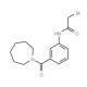 N-[3-(1-Azepanylcarbonyl)phenyl]-2-bromoacetamide - chemical structure image