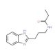 N-[3-(1H-benzimidazol-2-yl)propyl]propanamide (CAS 686736-44-7) - chemical structure image