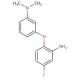N-[3-(2-Amino-4-fluorophenoxy)phenyl]-N,N-dimethylamine - chemical structure image