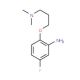 N-[3-(2-Amino-4-fluorophenoxy)propyl]-N,N-dimethylamine - chemical structure image