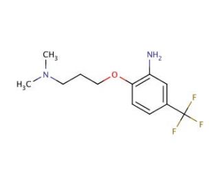 N-{3-[2-Amino-4-(trifluoromethyl)phenoxy]propyl}-N,N-dimethylamine - chemical structure image
