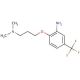N-{3-[2-Amino-4-(trifluoromethyl)phenoxy]propyl}-N,N-dimethylamine - chemical structure image
