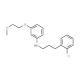 N-[3-(2-Chlorophenyl)propyl]-3-(2-methoxyethoxy)-aniline - chemical structure image