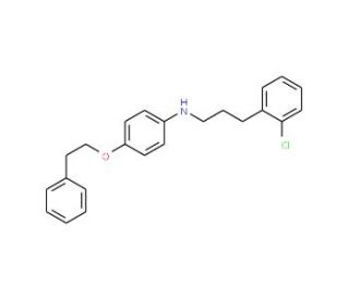 N-[3-(2-Chlorophenyl)propyl]-4-(phenethyloxy)aniline - chemical structure image