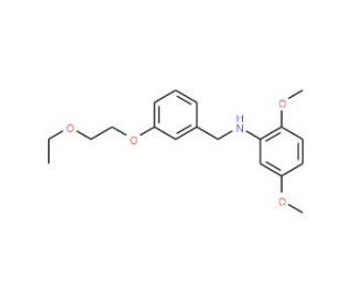 N-[3-(2-Ethoxyethoxy)benzyl]-2,5-dimethoxyaniline - chemical structure image