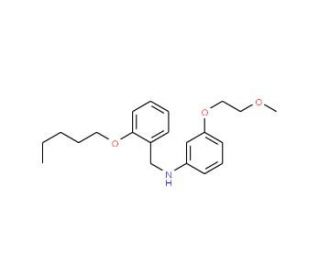 N-[3-(2-Methoxyethoxy)phenyl]-N-[2-(pentyloxy)benzyl]amine - chemical structure image