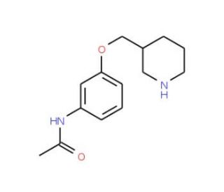 N-[3-(3-Piperidinylmethoxy)phenyl]acetamide - chemical structure image