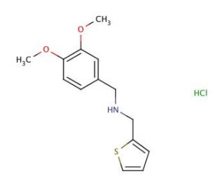N-(3,4-dimethoxybenzyl)-N-(thien-2-ylmethyl)amine hydrochloride - chemical structure image