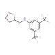N-[3,5-bis(trifluoromethyl)phenyl]-N-(tetrahydrofuran-3-ylmethyl)amine - chemical structure image