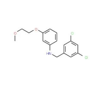 N-(3,5-Dichlorobenzyl)-3-(2-methoxyethoxy)aniline (CAS 1040686-73-4) - chemical structure image