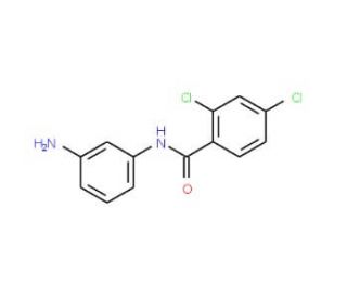 N-(3-Aminophenyl)-2,4-dichlorobenzamide (CAS 293737-92-5) - chemical structure image