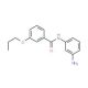 N-(3-Aminophenyl)-3-propoxybenzamide - chemical structure image