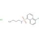 N-(3-Aminopropyl)-5-chloro-1-naphthalenesulfonamide Hydrochloride (CAS 78957-86-5) - chemical structure image