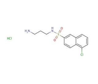 N-(3-Aminopropyl)-5-chloro-2-naphthalenesulfonamide Hydrochloride (CAS 210049-20-0) - chemical structure image