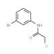 N-(3-Bromophenyl)-2-chloroacetamide (CAS 2564-03-6) - chemical structure image