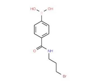 N-(3-Bromopropyl) 4-boronobenzamide (CAS 850567-41-8) - chemical structure image