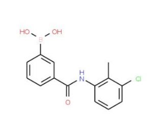 N-(3-Chloro-2-methylphenyl) 3-boronobenzamide (CAS 1072946-02-1) - chemical structure image