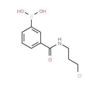 N-(3-Chloropropyl) 3-boronobenzamide (CAS 874288-10-5) - chemical structure image