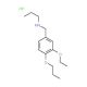 N-(3-ethoxy-4-propoxybenzyl)-N-propylamine hydrochloride - chemical structure image
