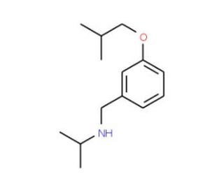 N-(3-Isobutoxybenzyl)-2-propanamine - chemical structure image