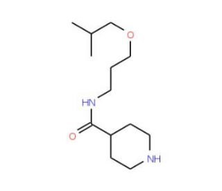 N-(3-isobutoxypropyl)piperidine-4-carboxamide - chemical structure image