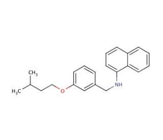 N-[3-(Isopentyloxy)benzyl]-1-naphthalenamine - chemical structure image