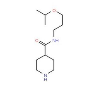 N-[3-(propan-2-yloxy)propyl]piperidine-4-carboxamide - chemical structure image