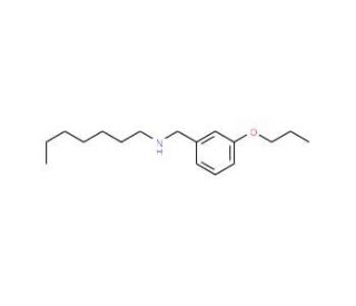 N-(3-Propoxybenzyl)-1-heptanamine - chemical structure image