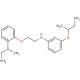 N-[3-(sec-Butoxy)phenyl]-N-{2-[2-(sec-butyl)-phenoxy]ethyl}amine - chemical structure image