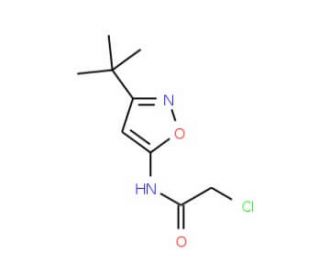 N-(3-tert-Butyl-isoxazol-5-yl)-2-chloro-acetamide - chemical structure image