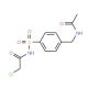 N-({4-[(acetylamino)methyl]phenyl}sulfonyl)-2-chloroacetamide - chemical structure image