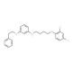 N-[4-(2,4-Dichlorophenoxy)butyl]-3-(phenethyloxy)aniline - chemical structure image
