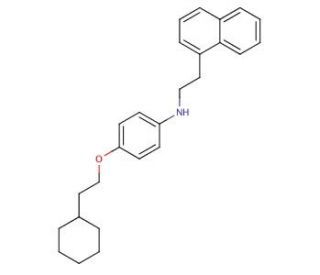 N-[4-(2-Cyclohexylethoxy)phenyl]-N-[2-(1-naphthyl)ethyl]amine - chemical structure image