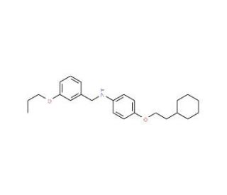 N-[4-(2-Cyclohexylethoxy)phenyl]-N-(3-propoxybenzyl)amine (CAS 1040693-67-1) - chemical structure image