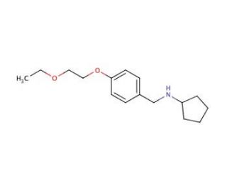 N-[4-(2-Ethoxyethoxy)benzyl]cyclopentanamine - chemical structure image