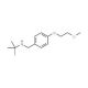 N-[4-(2-Methoxyethoxy)benzyl]-2-methyl-2-propanamine - chemical structure image