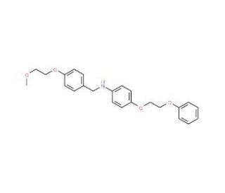 N-[4-(2-Methoxyethoxy)benzyl]-4-(2-phenoxyethoxy)-aniline - chemical structure image