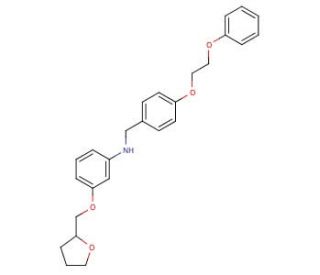 N-[4-(2-Phenoxyethoxy)benzyl]-3-(tetrahydro-2-furanylmethoxy)aniline - chemical structure image