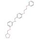 N-[4-(2-Phenoxyethoxy)benzyl]-3-(tetrahydro-2-furanylmethoxy)aniline - chemical structure image