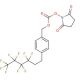 N-[4-(3,3,4,4,5,5,6,6,6-Nonafluorohexyl)benzyloxycarbonyloxy]succinimide (CAS 825635-46-9) - chemical structure image