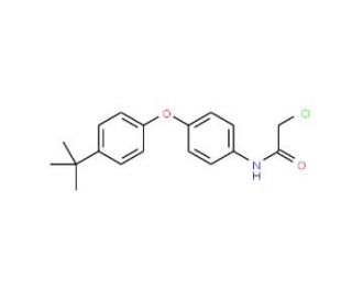 N-[4-(4-tert-butylphenoxy)phenyl]-2-chloroacetamide - chemical structure image