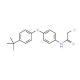 N-[4-(4-tert-butylphenoxy)phenyl]-2-chloroacetamide - chemical structure image