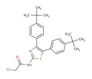 N-[4,5-Bis-(4-tert-butyl-phenyl)-thiazol-2-yl]-2-chloro-acetamide - chemical structure image