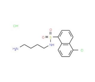 N-(4-Aminobutyl)-5-chloro-1-naphthalenesulfonamide Hydrochloride (CAS 78957-84-3) - chemical structure image