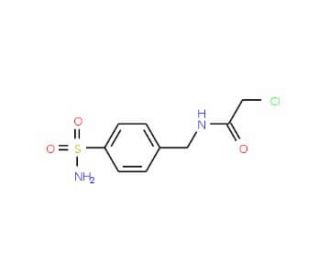 N-[4-(aminosulfonyl)benzyl]-2-chloroacetamide (CAS 101167-02-6) - chemical structure image
