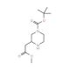 N-4-Boc-2-piperazineacetic acid methyl ester (CAS 183742-33-8) - chemical structure image